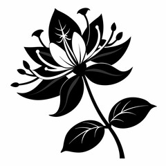 Honeysuckle illustration, Black silhouette