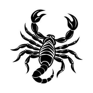 recommend clip art: Download scorpion silhouette vector illustration SVG & PNG File
