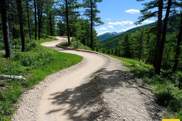 Fototapeta premium Bike trail through pine forest, adventurous and engaging