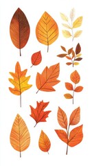 Watercolor autumn leaves falling down illustration set