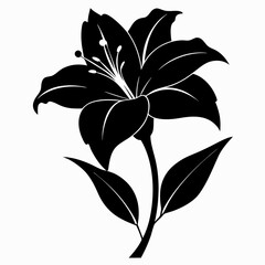 Daylily Black silhouette