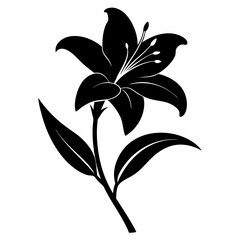 Daylily Black silhouette