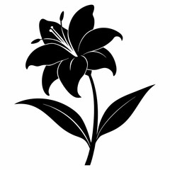 Daylily Black silhouette