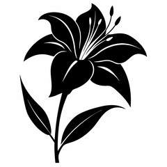 Daylily Black silhouette