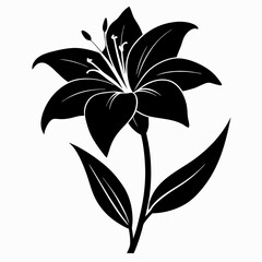 Daylily Black silhouette