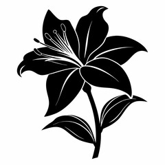 Daylily Black silhouette