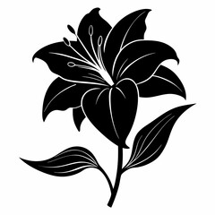 Daylily Black silhouette