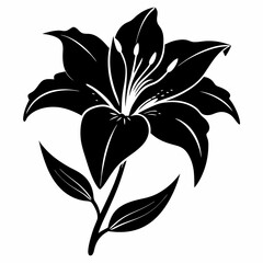 Daylily Black silhouette