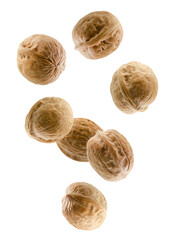 Whole walnuts falling in space. Isolated on white
