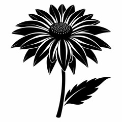 Coneflower Black silhouette
