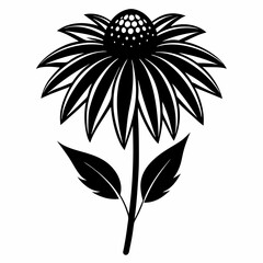 Coneflower Black silhouette