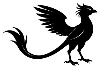 Quetzal silhouette black color vector art illustration