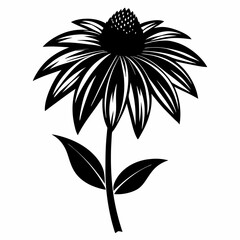 Coneflower Black silhouette