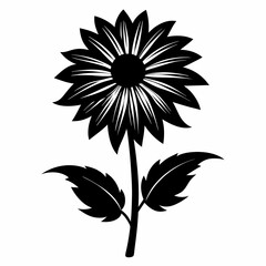 Coneflower Black silhouette