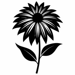 Coneflower Black silhouette
