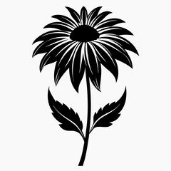 Coneflower Black silhouette