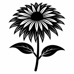 Coneflower Black silhouette