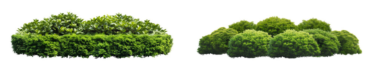 Obraz premium Green bushes in the shape of oval style cutout png isolated on transparent background