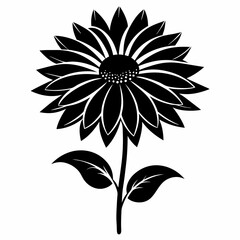 Coneflower Black silhouette