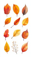 Obraz premium Watercolor set of colorful autumn leaves falling down