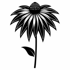 Coneflower Black silhouette