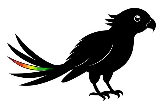 recommend clip art: Rainbow lorikeet silhouette black color vector art illustration 