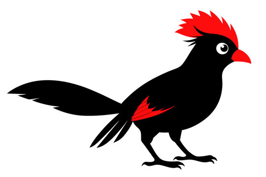 recommend clip art:  Red crested turaco silhouette black color vector art illustration 