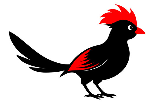 recommend clip art:  Red crested turaco silhouette black color vector art illustration 