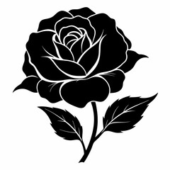 China Rose Black silhouette