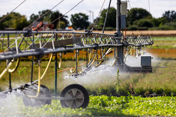 Eine Bewässerungsanlage sprüht Wasser über Felder im Knoblauchsland, einem Gemüseanbaugebiet in Nürnberg.