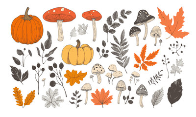 Hello autumn. Set of vector cute illustrations of mushrooms, leaves, pumpkin, animal, autumn set