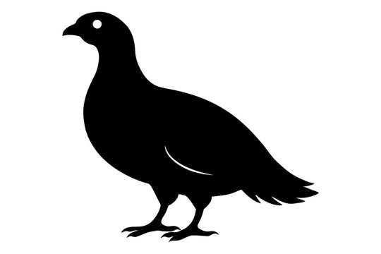 recommend clip art: Rock ptarmigan silhouette black color vector art illustration