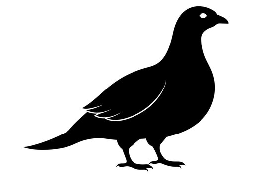 recommend clip art: Rock ptarmigan silhouette black color vector art illustration