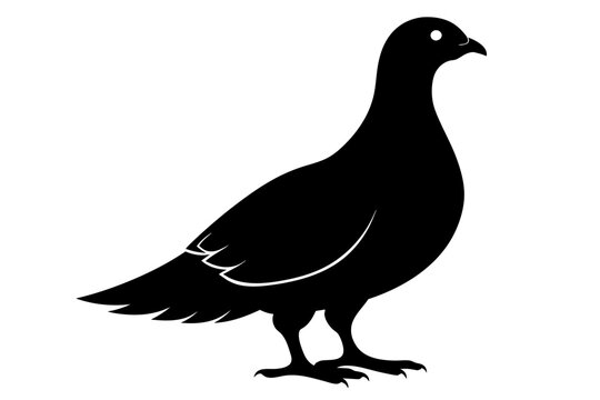 recommend clip art: Rock ptarmigan silhouette black color vector art illustration
