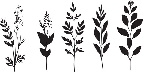 Plant Set. Hand drawn vector illustration	