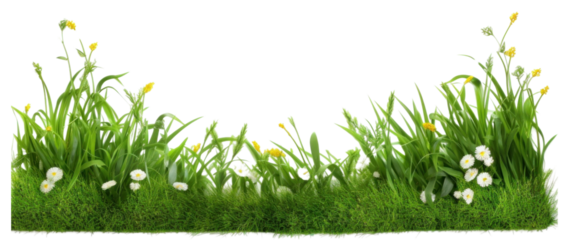 PNG Grass outdoors blossom nature.