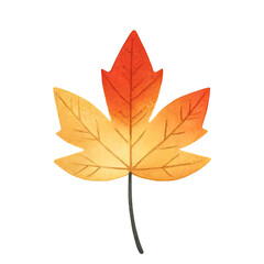 Naklejka premium autumn maple leaf