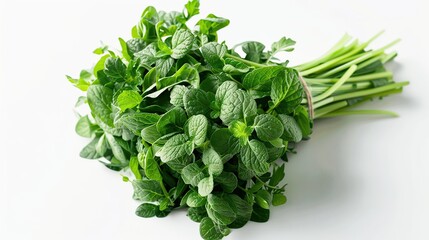 Fototapeta premium Fresh Bunch of Green Mint Leaves