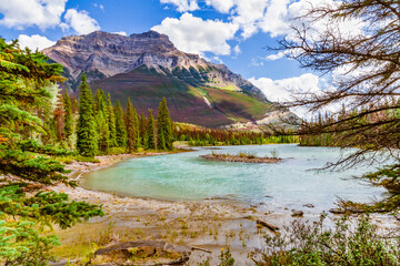 Turquoise waters Athabasca River near Athabasca Falls, Jasper National Park, Alberta, Canada