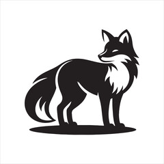 The Life Cycle of a Fox