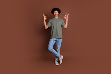 Full body length photo of youth guy with wavy hair in casual gray t shirt and jeans make okey sign isolated on brown color background