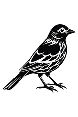 Fototapeta premium Elegant Bird Water Pot with Tree Silhouette Design - Nature-Inspired Garden Decor