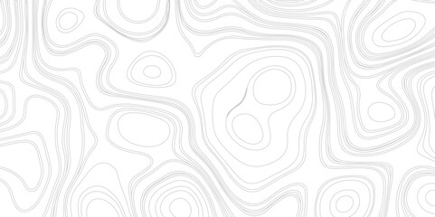 Black on white contours vector topography stylized height of the lines. Abstract topographic contours map background.