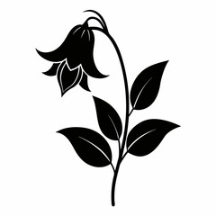 Bellflower Black silhouette