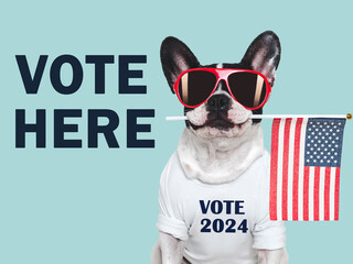 VOTE HERE. US Elections. 2024 Presidential Election. Adorable puppy and American Flag. Close-up,...