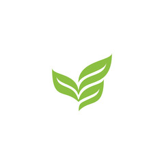 leaf simple grow logo design vector template. three leaf logo vector