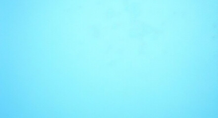 fond de texture de feuille bleue	
