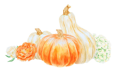 Orange and white pumpkins, roses, hydrangea. Realistic botanical clipart. Hand drawn watercolor isolated illustration with fall vegetables and plants for poster, card. Botanical colorful clipart.