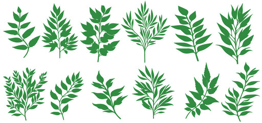 Set of hand drawn green flowers, herbs, leaves, twigs of flowers. Vector illustration