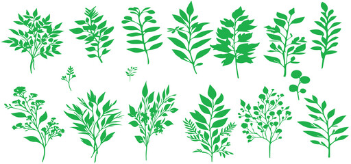 Fototapeta premium A set of aesthetic green leaves vector